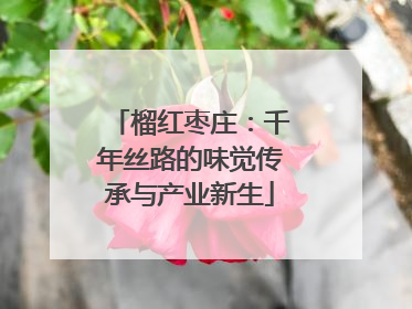 榴红枣庄：千年丝路的味觉传承与产业新生